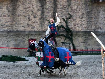 puy du fou