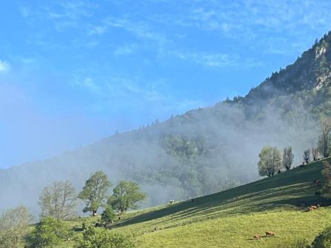 Aillon