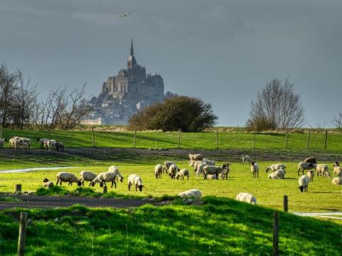 Mont Saint Michel